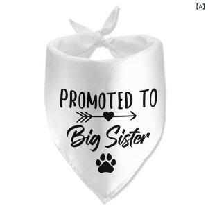 &quotybgEFA 킢  L ~ h ybg &quot &ampquotybgEFA 킢  L ~ h ybg &ampquot  ybg t ^I  L }t[  Op ^I y