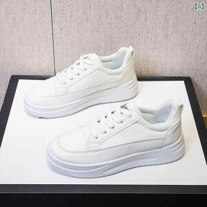  Xj[J[ fB[X 킢 C EH[LOV[Y אg Cq[Xj[J[ ʊw ؍ C H~ꂢ    ₷ y 2025 t fB[XV[Y  