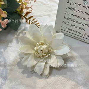  CeA u[P ԑ tFCNt[ A[eBtBVt[ p `[bv  DIY p[eB[ Be p z[ 뉀 Lb` ItBX i p[eB[  