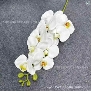  CeA u[P ԑ tFCNt[ A[eBtBVt[ p `[bv  DIY p[eB[ Be p z[ 뉀 Lb` ItBX i p[eB[  