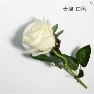  CeA u[P ԑ tFCNt[ A[eBtBVt[ p `[bv  DIY p[eB[ Be p z[ 뉀 Lb` ItBX i p[eB[  