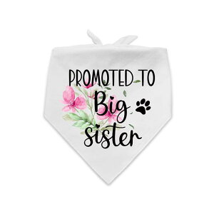 &quotybgEFA 킢  L ~ h ybg &quot &ampquotybgEFA 킢  L ~ h ybg &ampquot  ybg t ^I  L }t[  Op ^I y