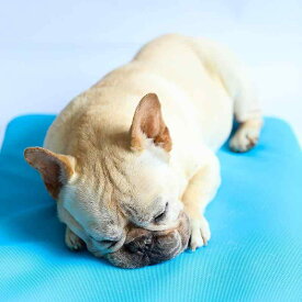 ペットマット 犬猫用 冷感 スポンジ ポリエステルメッシュ オールシーズン対応 寝床 クッション 軽量 通気性 洗える ペットベッド 休息用 快適 柔軟素材