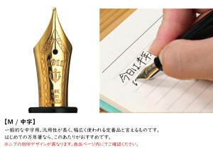 yS68zyWANCHER×SAILOR/Z[[z  21NM vtBbg21 AC{[zCg @ׂŔۉF 11-8220 y4 EF/F/MF/M Ro[^[ty[/z `[ uh K