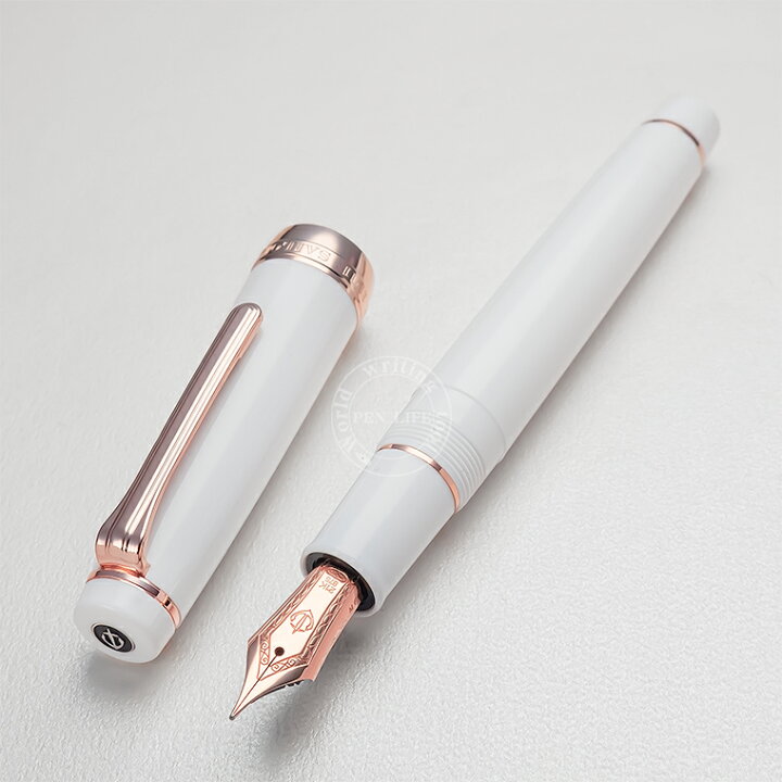 楽天市場】【S163】【SAILOR/セーラー】プロフェッショナルギア 万年筆  