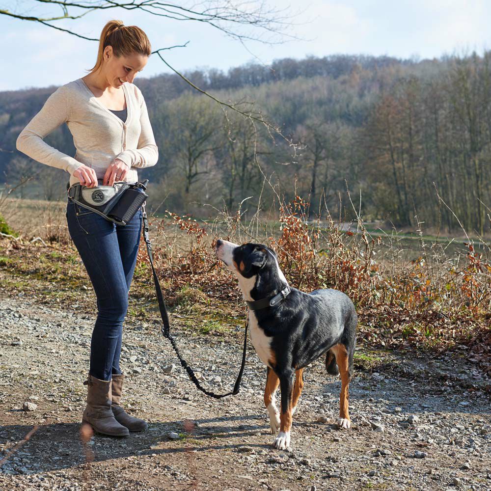ハンター 犬用 リード ジョギングリード ジャスパー 中型犬 大型犬 散歩 ドイツブランド