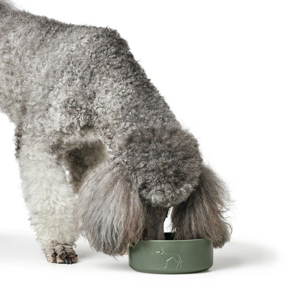 ハンター 犬用 猫用 食器 シリコン トラベルボウル with バッグ リスト 750 ml フード ウォーター 携帯 ドイツブランド