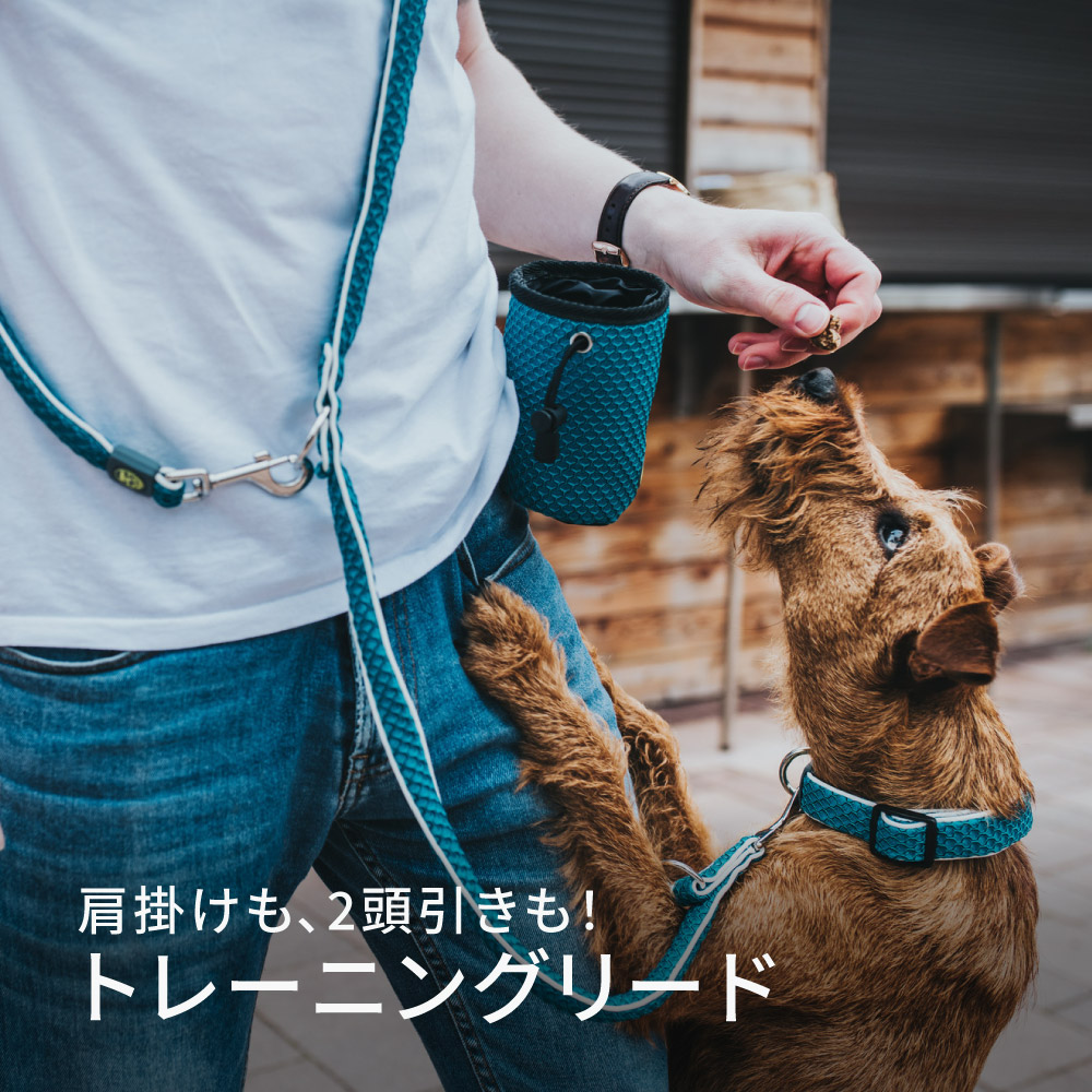 楽天市場】ハンター 犬用 リード トレーニングリード ヒロ 15/200 小型