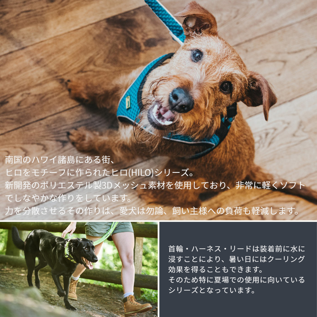 楽天市場】ハンター 犬用 ハーネス ヒロ コンフォート M-L 中型犬 大型