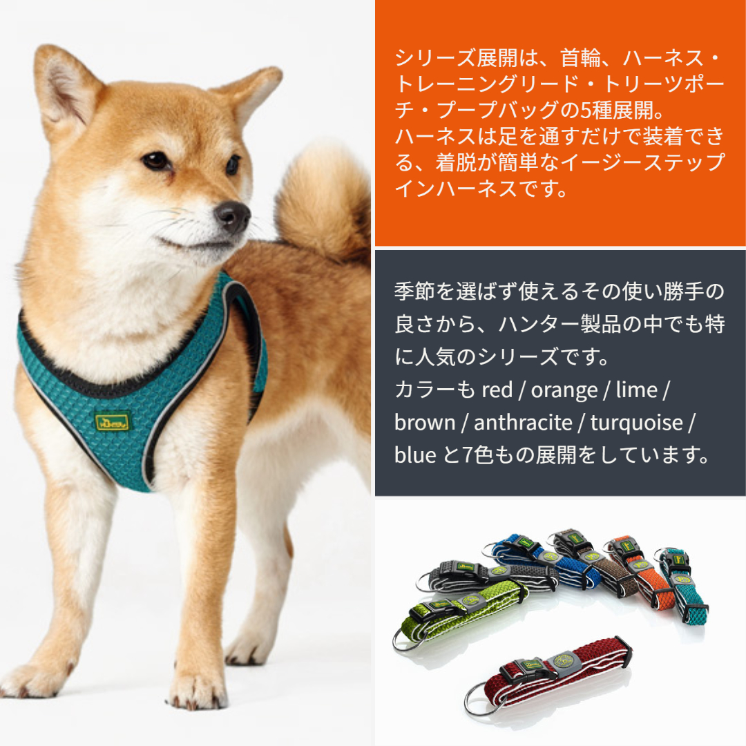 楽天市場】ハンター 犬用 リード トレーニングリード ヒロ 15/200 小型