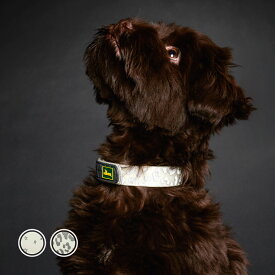 ハンター 犬用 首輪 コンビニエンス リフレクト グロー 40/S 小型犬 中型犬 反射材使用 蛍光材 蓄光材 ドイツブランド