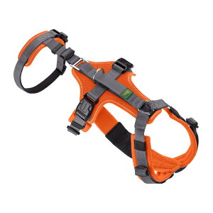 n^[ p n[lX Eh~n[lX }h 69-105/L ^ ˍގgp E Eo ނ n[lX C^O O[nEh nEh {]C _炩 ɂȂ bV Nb