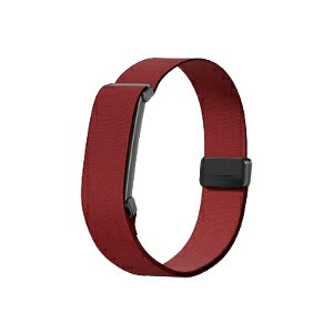 Google Fitbit Air �t�B�b�g�l�X�g���b�J�[ �p �A�[���o���h �i�C�����o���h �}�O�l�b�g�o�b�N�� �����p�A�[���o���h 40cm �����O�o���h �������߉\ �y�� �ʋC�� ���E�ȒP �X�|�[�c �����j���O 
