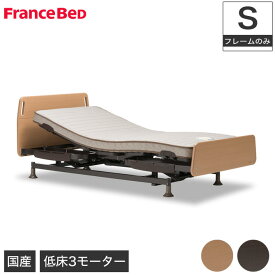 【非課税】フランスベッド 電動ベッド レステックス-01F 3モーター フレームのみ シングル 電動リクライニングベッド francebed 介護ベッド 低床設計 マットレスセット お年寄り