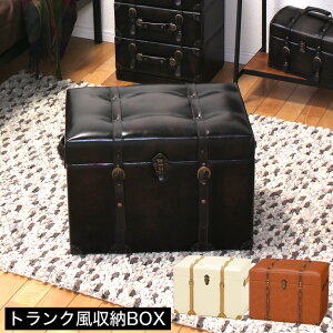 gN[Xc[ 60cm 46 gN [{bNX [P[X  re[W _ AeB[N  Xc[ CX `FA x` ֎q ֎[ rO[ 