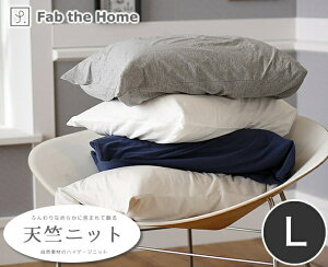 Vjbg Jo[ LTCY 50×70cmp vCjbg 100 jbgn s[P[X fab the home Rbg100 plain knit