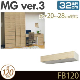 壁面収納 キャビネット リビング 【 MG3 】 フィラーBOX 上置き 幅120cm 高さ20-28cm 奥行32cm ウォールラック D32 FB120 MGver.3 【代引不可】【受注生産品】