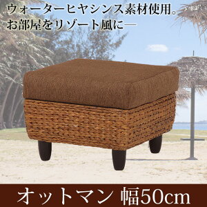 \t@[ Ibg} 50cm qVXfނ̃AWAeCXg AWAƋ Xc[ `FA \t@ 1l| l|  r ][g o  \t@[ k Vv _ i`