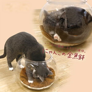 ɂ񂱂̋ L L qLp ANLیJo[ ̂ŔLώ@ł܂ h~ Փ˖h~ LɈSŉKȑ񋟂܂