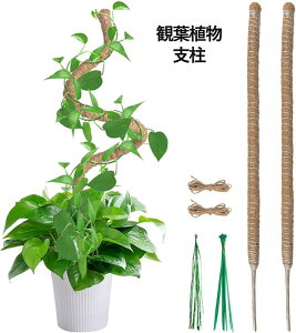 ϗtA x Xe 60CM 2{ |px Ȃ\ RRibcEAx K[fjOp RCA|[p ێE{ێE_ƁE |p