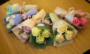 \[vt[ ԑ u[P 3 o [Yu[P 莝\[vt[ ͂Ȃ JXj a ސEj ̓ Ǝ  蕨  Mtg