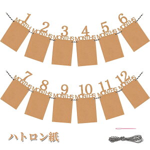 tHgt[ t 1 12 ʐ^K[h o[XfB p[eB[ j tHgt[ t Ǌ| ʐ^t[ ʐ^ LO Ԃ  ЂtDIYp pia