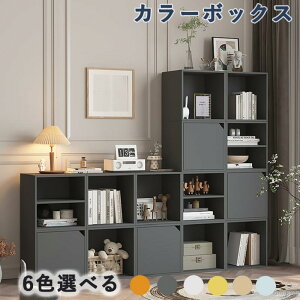 カラーボックス 扉付き 組み合わせ 収納 キューブボックス 収納棚 収納ボックス キュビック 収納BOX 本棚 おしゃれ 収納 棚 フリーラック コンパクト 一人暮らし 本棚 子供 子ども部屋 キッチ
