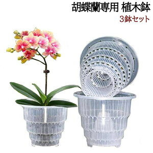 Ӓp Aؔ 3Zbg Ӓ̐Aւ  Mt ^ ʋCQ h~ a10/12/15cm rt vX`bN  ̔ ϗtA̔  NA 锫 