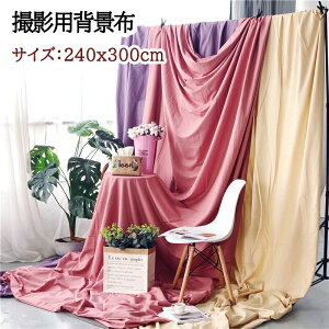 wiV[g Bepwiz TCY240*300cm X^WIwiXN[V[g ʐ^ wiz Be p obN XN[ V[g X^WI z S14F pr