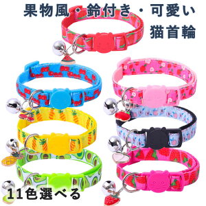 L ʕ ANZT[ t ybg  Lp y Z[teBobNt ߉\  ^Kp ˂ O