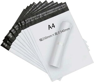 y100zzrj[ A4 W250×H340+t^40mm  rj[z z| NbN|Xg lR|X J 䂤pPbg DM   A4TCY h  y v Ȃ ̓e[v