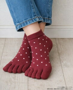 Hush Puppies�i�n�b�V���p�s�[�j �h�b�g��5�{�w�\�b�N�X�i���f�B�X�j
