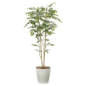 �@�l�l���� �A�[�g�N���G�C�V���� �I�t�B�X�Ƌ� �t�F�C�N�O���[�� �l�H�ϗt�A�� �}�E���e���A�b�V��1.8 900R480