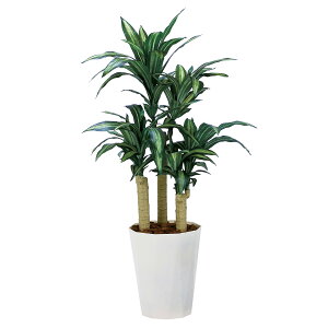 �@�l�l���� �l�H�ϗt�A�� �t�F�C�N�O���[�� �K���̖�1.3 2316R300 �A�[�g�N���G�C�V����
