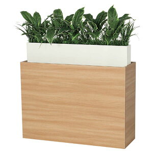 �@�l�l���� �x���N �I�t�B�X�Ƌ� ���� �t�����[�{�b�N�X BOX�v�����^�[ GR2226