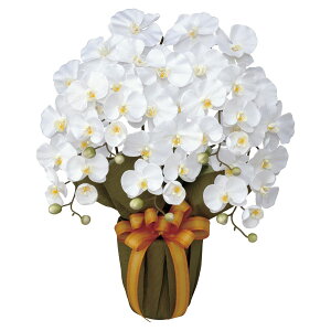 �@�l�l���� �A�[�e�B�t�B�V�����t�����[ �G���K���g�Ӓ���5�{��W 452A80 �A�[�g�N���G�C�V����