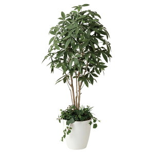 @ll A[gNGCV ItBXƋ tFCNO[ lHϗtA pL1.8 A͕t 412P515