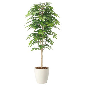 @ll A[gNGCV ItBXƋ tFCNO[ lHϗtA PL1.6 2465A380