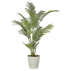 @ll A[gNGCV ItBXƋ tFCNO[ lHϗtA tbVp[1.8 2210P450