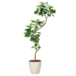 @ll A[gNGCV ItBXƋ tFCNO[ lHϗtA cCXgAeV}2.1igj2337A825