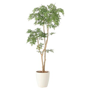 @ll A[gNGCV ItBXƋ tFCNO[ lHϗtA ^C~W1.3 2420A230