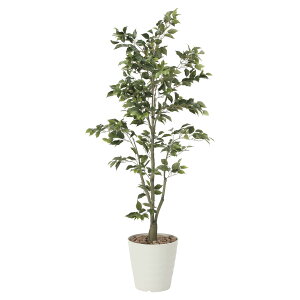 @ll A[gNGCV ItBXƋ tFCNO[ lHϗtA tBJXc[1.8 822K400