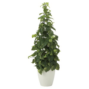 @ll A[gNGCV ItBXƋ tFCNO[ lHϗtA tbV|gX1.2 2023K280