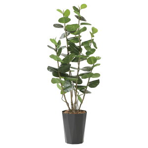 @ll A[gNGCV ItBXƋ tFCNO[ lHϗtA V[O[vDX1.7 2244A320