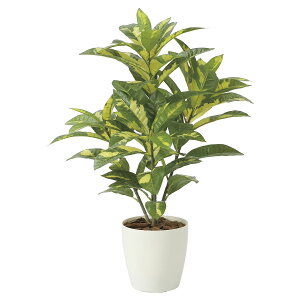 @ll A[gNGCV ItBXƋ tFCNO[ lHϗtA Ng 2213A100