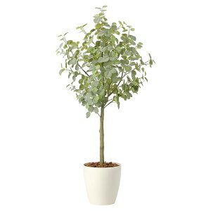 @ll A[gNGCV ItBXƋ tFCNO[ lHϗtA [Jc[1.85igj2436A450