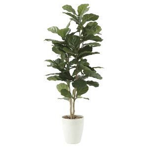 @ll A[gNGCV ItBXƋ tFCNO[ lHϗtA JVoS1.35 609P250