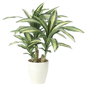 @ll A[gNGCV ItBXƋ tFCNO[ lHϗtA K̖S 829K135