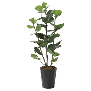 @ll A[gNGCV ItBXƋ tFCNO[ lHϗtA V[O[vDX1.25 2243A240