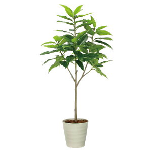 @ll A[gNGCV ItBXƋ tFCNO[ lHϗtA tbVjA1.6 2325A400